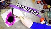 Галогены. Химия (2021)