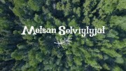 Лесные герои / Metsän selviytyjät (2018)