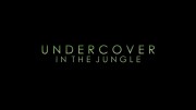 Под прикрытием в джунглях / Undercover in the Jungle (2019)