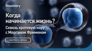 Когда начинается жизнь? Сквозь кротовую нору