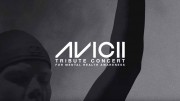 Авичи. Памяти Тима Берглинга посвящается / Avicii Tribute Concert: In Loving Memory of Tim Bergling (2019)