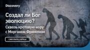 Создал ли Бог эволюцию? Сквозь кротовую нору