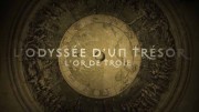 Одиссея сокровищ: золото Приама / L'Odyssée d'un trésor - L'Or de Troie (2020)