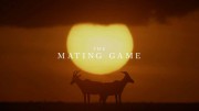 Брачная Игра 4 серия. Пресная вода: время решает все / The Mating Game (2021)
