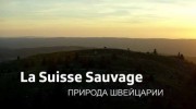Природа Швейцарии 4 серия. Край воды и льда / La Suisse sauvage (2020)