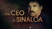 Глава Синалоа / The CEO of Sinaloa (2021)