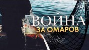 Война за омаров (2022)