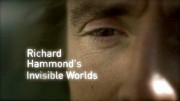 Невидимые миры (3 серии из 3) / Richard Hammond's Invisible Worlds (2010)