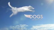 Собаки могут летать (все серии) / Dogs Might Fly (2016)