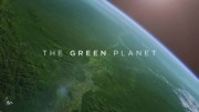 Зелёная планета 5 серия. Человеческие миры / The Green Planet (2022)