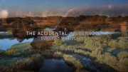 Рукотворный рай посреди Европы / The Accidental Wilderness Europe's Everglades (2020)