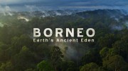 Борнео. Древний рай на Земле / Древний остров Борнео / Borneo – Earth’s Ancient Eden (2019)