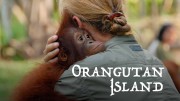 Остров орангутанов (все серии) / Orangutan Island (2007)