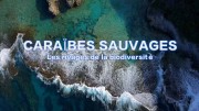 Дикие Карибы - берега разнообразия / Caraïbes sauvages, les rivages de la biodiversité (2018)