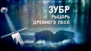 Зубр. Рыцарь древнего леса (2020)