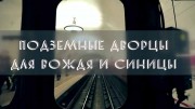 Подземные дворцы для вождя и синицы (2018)