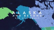 Фауна Аляски: От мала до велика / Alaska And Beyond: Big And Small (2022)