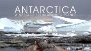 Антарктика: Послание с другой планеты / Antarctica: A Message from Another Planet (2019)