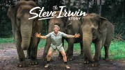 История Стива Ирвина / The Steve Irwin Story (2018)