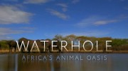 Водопой: Африканский Оазис для Животных (все серии) / Waterhole: Africa's Animal Oasis (2020)