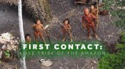 Первый контакт. Затерянное племя Амазонки / First Contact; Lost Tribe of the Amazon (2016)