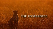 Королева леопардов 2 серия. Неуловимая охотница / The Leopardess (2020)