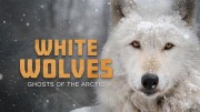 Белые волки: призраки Арктики / White Wolves: Ghosts of the Arctic (2017)