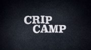 Особый лагерь: Революция инвалидности (Лагерь Крип) / Crip Camp (2020)