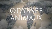 Одиссея животных (все серии) / L'odyssée des animaux / Animal Odyssey (2022)