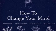 Трансформация ума (все серии) / How to Change Your Mind (2022)