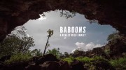Дикая семейка бабуинов / Baboons: A Really Wild Family (2021)