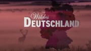 Дикая природа Германии (все сезоны. все серии) / Wildes Deutschland (2011-2014)