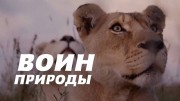 Воин природы (все серии) / Nature's Warriors (2021)