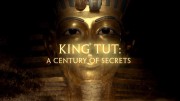 Тутанхамон: столетие тайн / King Tut: A Century of Secrets (2022)