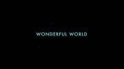 Чудесный мир / Wonderful World (2015)
