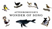 Волшебные песни животных с Дэвидом Аттенборо / Attenborough's Wonder of Song (2022)