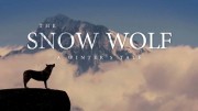 Снежный волк. Зимняя сказка / The Snow Wolf: A Winter's Tale (2018)