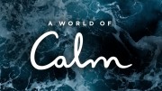 Мир безмятежности (все серии) / A World of Calm (2020)
