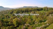 Весенние истории / Springtime Stories (2016)