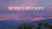Рожденные в Скалистых горах 1 серия. Первые шаги / Born in the Rockies (2021)