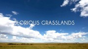 Дивные луга / Glorious Grasslands (2021)