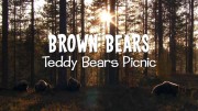 Бурые медведи: пикник в дикой природе / Brown Bears - Teddy Bears Picnic (2020)