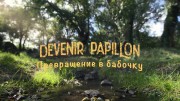 Превращение в бабочку / Из куколки в бабочку / Devenir Papillon (2021)