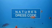 Дресс-код природы: кто что носит и почему? / Nature's Dress Code: Who Wears What and Why? (2019)