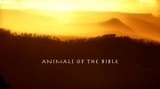 Библейские животные / Animals of the Bible (2022)