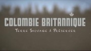 Британская Колумбия. Край, где царят гризли / Colombie Britannique, terre sauvage à préserver (2017)
