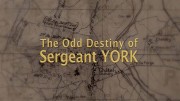 Необычная судьба сержанта Йорка / The Odd Destiny of Sergeant York (2018)