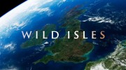 Дикие острова 2 серия. Лесистая местность / Wild Isles (2023) Дэвид Аттенборо