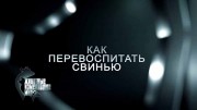 Как перевоспитать свинью (2021)