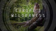 В европейской глуши (все серии) / Europe's Wilderness (2021)